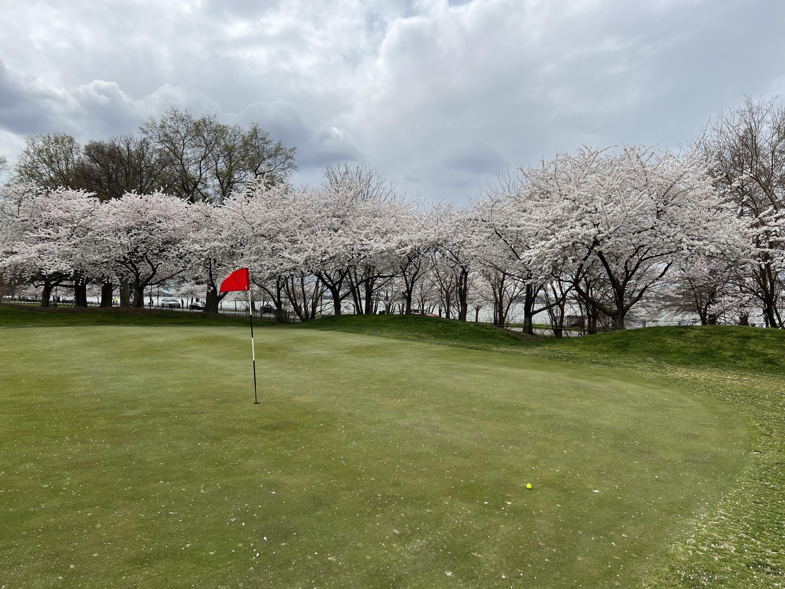 The Latest News From Nature and Science