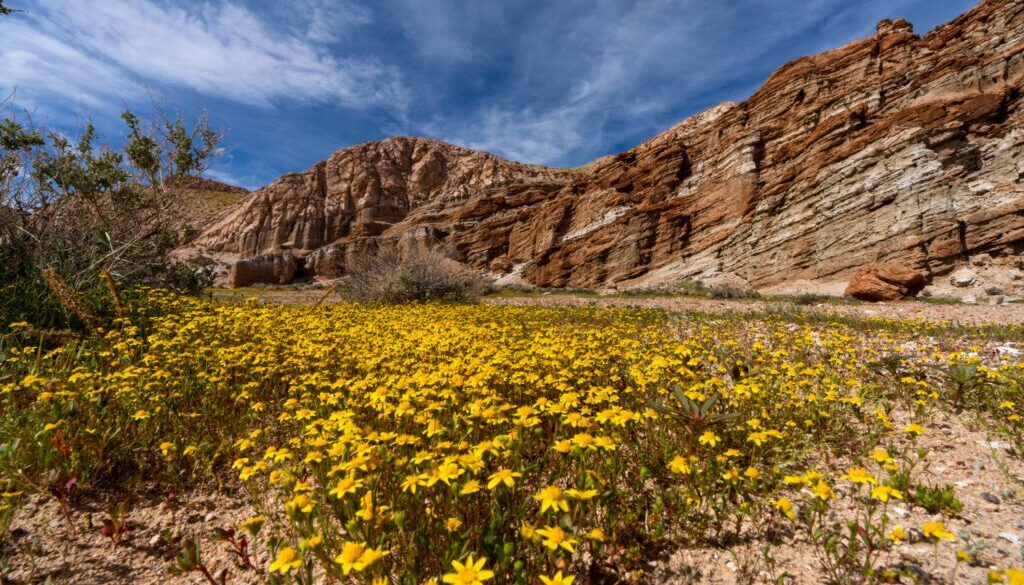 Red Rock Canyon State Park--04/11/2023Photo by Brian Baer