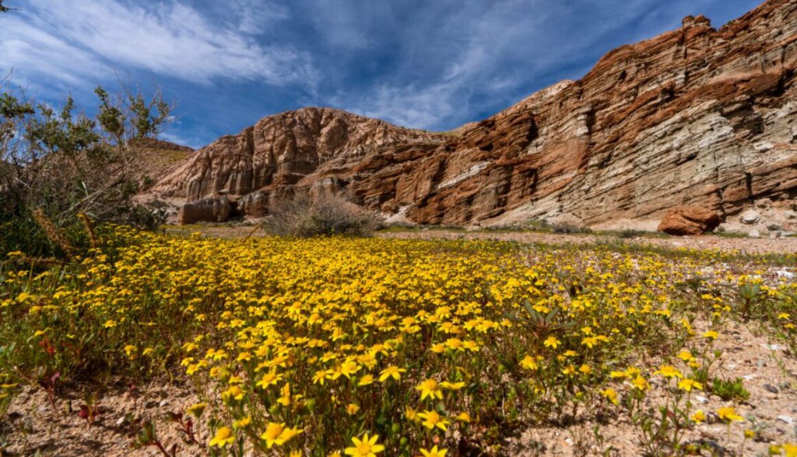Red Rock Canyon State Park--04/11/2023Photo by Brian Baer
