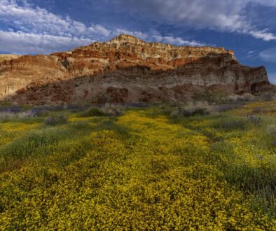Red Rock Canyon State Park--4/12/2023Photo by Brian Baer