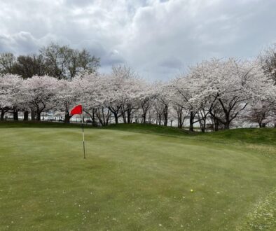 Tenth Hole East Potomac