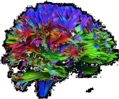 The Brain of Persuasion A vibrant 3D diffusion tensor imaging (DTI) brain tractography rendering, showing colorful neural pathways in shades of blue, green, red, and purple isolated on a black background, illustrating cognitive networks for the Nature and Science Podcast episode on behavioral science with Dr. JonRobert Tartaglione